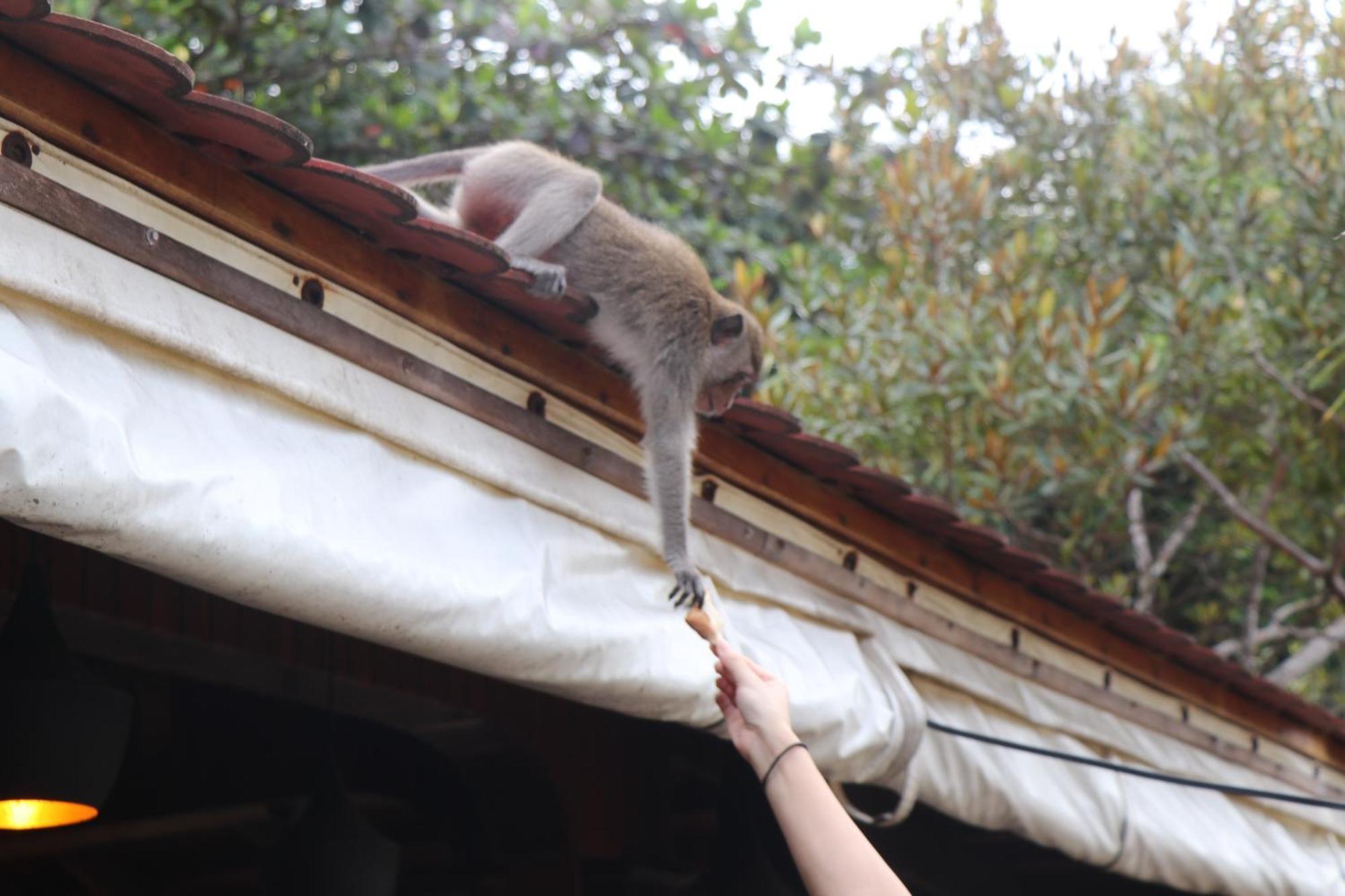 Kaoh Touch Tree House Bungalows מראה חיצוני תמונה